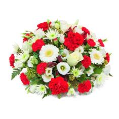 OPP16 Red &amp; White Posy