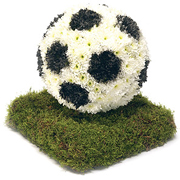 SG005 3D Football Tribute