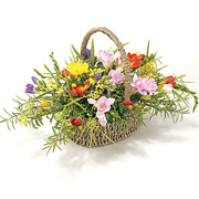 BSKT09 Mixed Freesia Basket