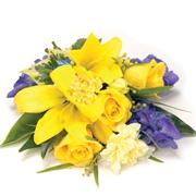 S18 Mixed Sheaf Yellow &amp; Blue