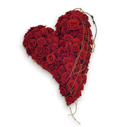 RRH 01 Red Rose Heart