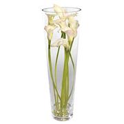 White Calla Lily and Vase