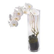 White Orchid Vase Arrangement