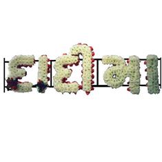 AT41 ASIAN LETTERING 01