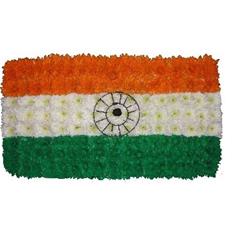 SG040 INDIAN FLAG