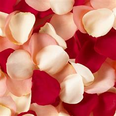 AT RP01 Mixed Rose Petals