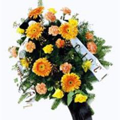 PL05 Orange &amp; Yellow Spray