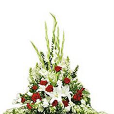 PL07 Pedestal Arrangement