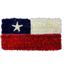 SG130 Chile Flag