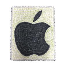 SG146 Apple Symbol