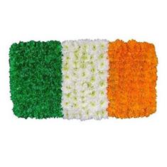 SG036 IRELAND FLAG