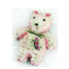 T02 Teddy 2