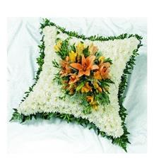 C 08 Wild Orange Cushion