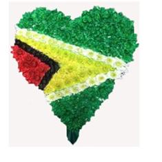 HC 05 GUYANA FLAG HEART