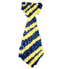 SG021 Tie