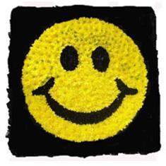 SG100 Smiley Face Cut Out