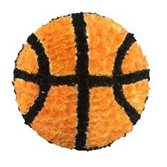 SG150 Basketball