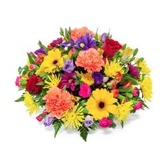 OPP08 Bright &amp; Vibrant Posy