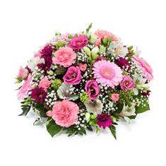 OPP09 Pink Posy