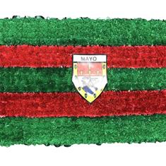 SG179 MAYO COUNTY FLAG