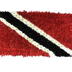 SG217 TRINIDAD &amp; TOBAGO FLAG