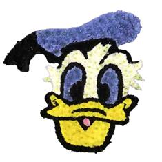 SG213 Donald Duck