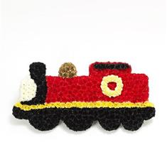 SG203 Train Tribute
