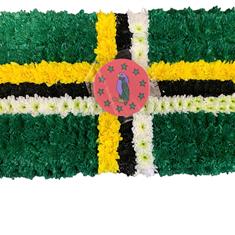 SG215 DOMINICA FLAG TRIBUTE 