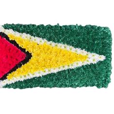 SG224 Guyana Flag Tribute