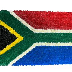 SG227 South Africa Flag Tribute