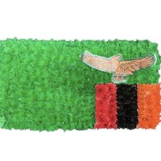SG230 ZAMBIA FLAG TRIBUTE 