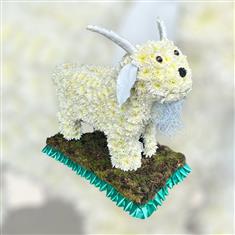SG289 3D SHEEP TRIBUTE 