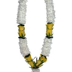 ATG17 GARLAND 17