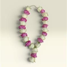 ATG19 GARLAND 19